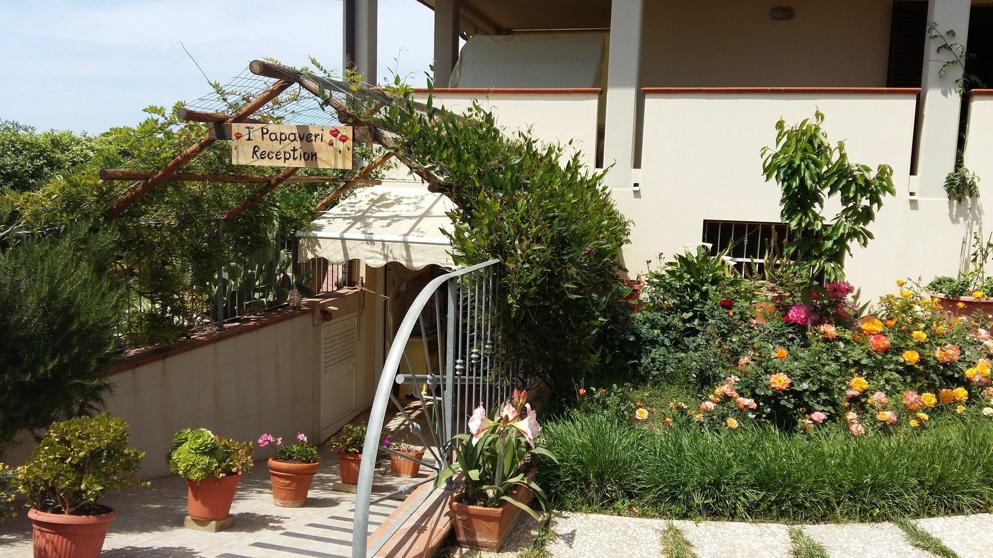 סן וינצ'נזו I Papaveri Apartments מראה חיצוני תמונה
